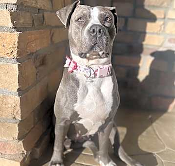 Photo of Ava