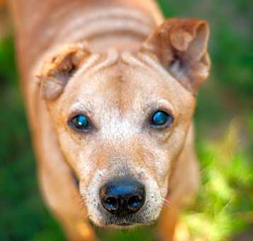 Photo of Annie
