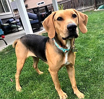 Photo of Hazel