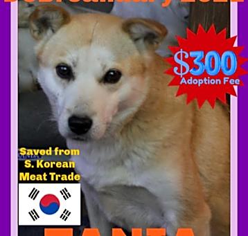 Photo of TANIA - $300