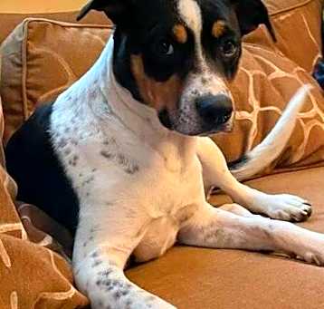 Photo of Princess Sadie