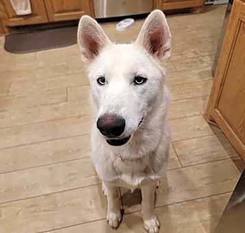 Photo of Gigi