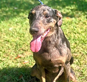 Photo of Billiot