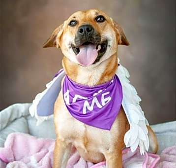 Photo of Molly