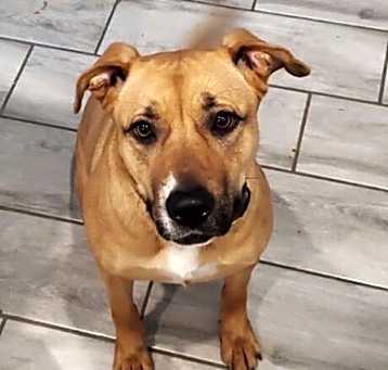 Photo of Luna