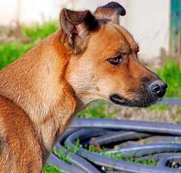 Photo of Lilibeth