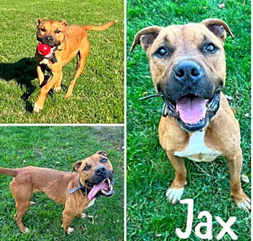 Photo of Jax
