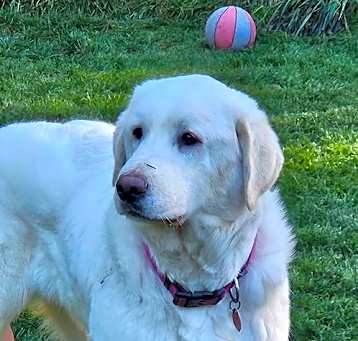 Photo of Della