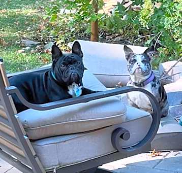 Photo of Stella and Pierre