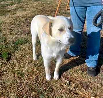 Photo of CASPER