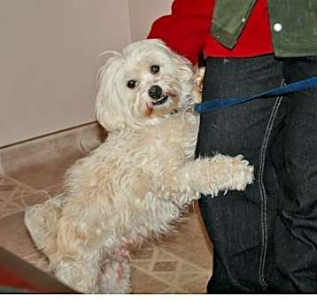 Photo of SIMON-Help & Sponsorship