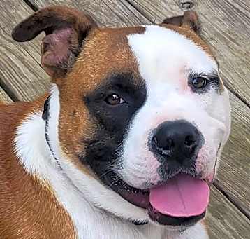 Photo of Stryker