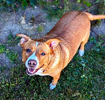 Photo of Girlie