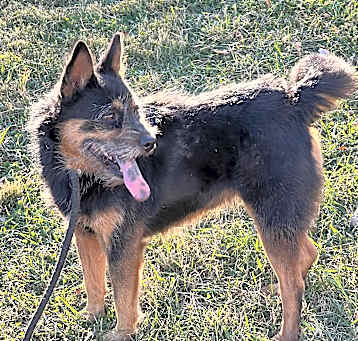 Photo of Britches