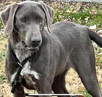 Photo of Blu