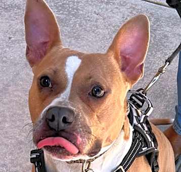 Photo of JoJo
