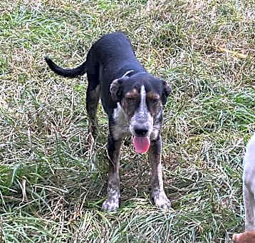Photo of Jack