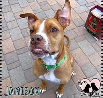 Photo of Jameson