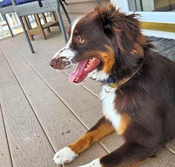 Photo of Korra