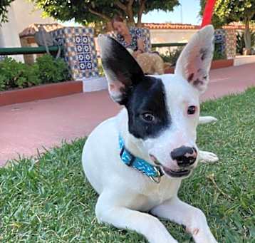 Photo of Grillete