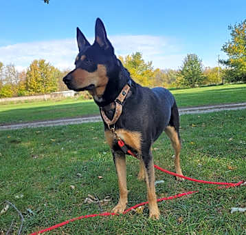 Photo of Missy