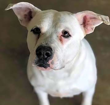 Photo of Lilly
