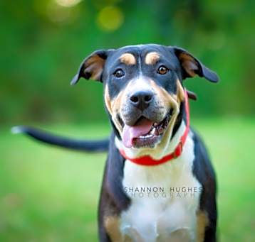 Photo of Sheila aka Havoc