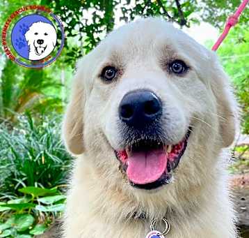 Photo of Murphy