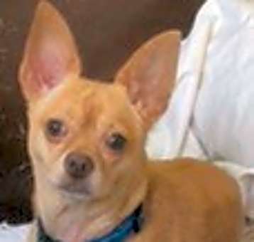 Photo of Marty