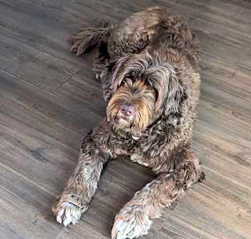 Photo of Carson