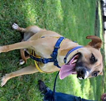 Photo of Thor
