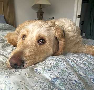 Photo of Jack