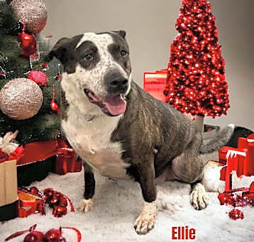 Photo of Ellie