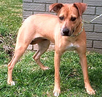 Photo of Mandy