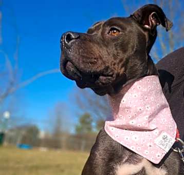 Photo of Arya