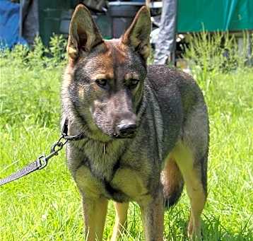 Photo of Zeus