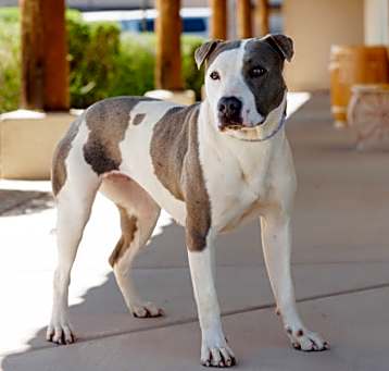Photo of Deedra