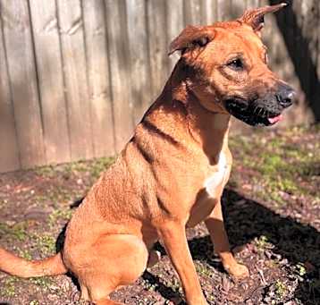 Photo of Cavander