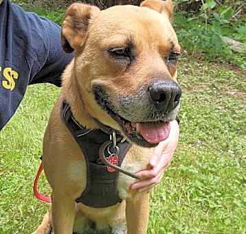 Photo of Sugar - Sweet Girl "tripod"
