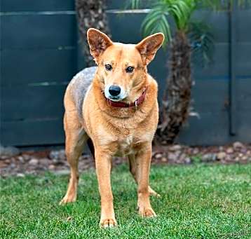 Photo of Tirena