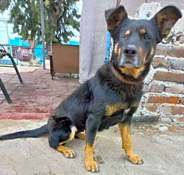 Photo of Catalina