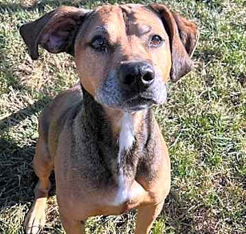 Photo of Betty