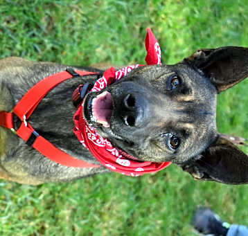 Photo of Deya