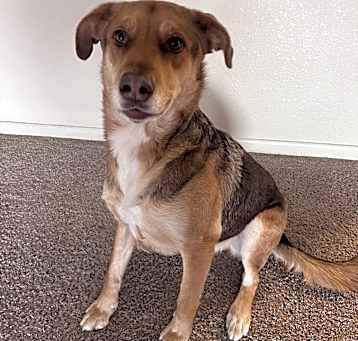 Photo of Ares