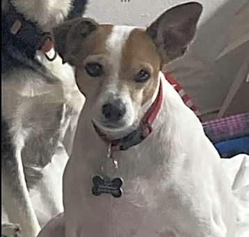 Photo of Spot in Houston