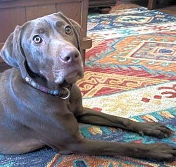 Photo of Ella Mae Roo