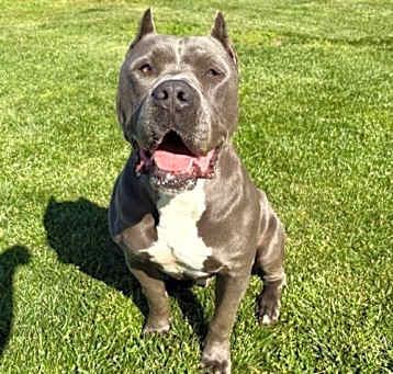 Photo of Keeper
