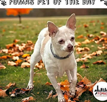 Photo of Zoy