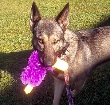 Photo of STORMY