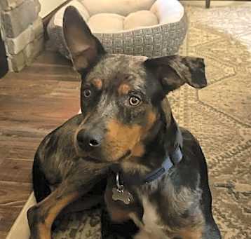 Photo of Cash